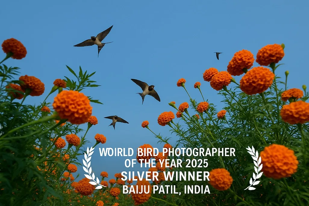 Baiju Patil