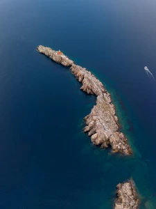 grebeni, Daniel Roščić