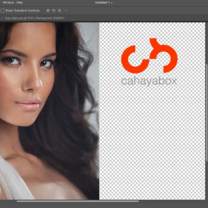 Besplatni Photoshop, Lightroom i Premiere? Provjerili smo 7 klonova